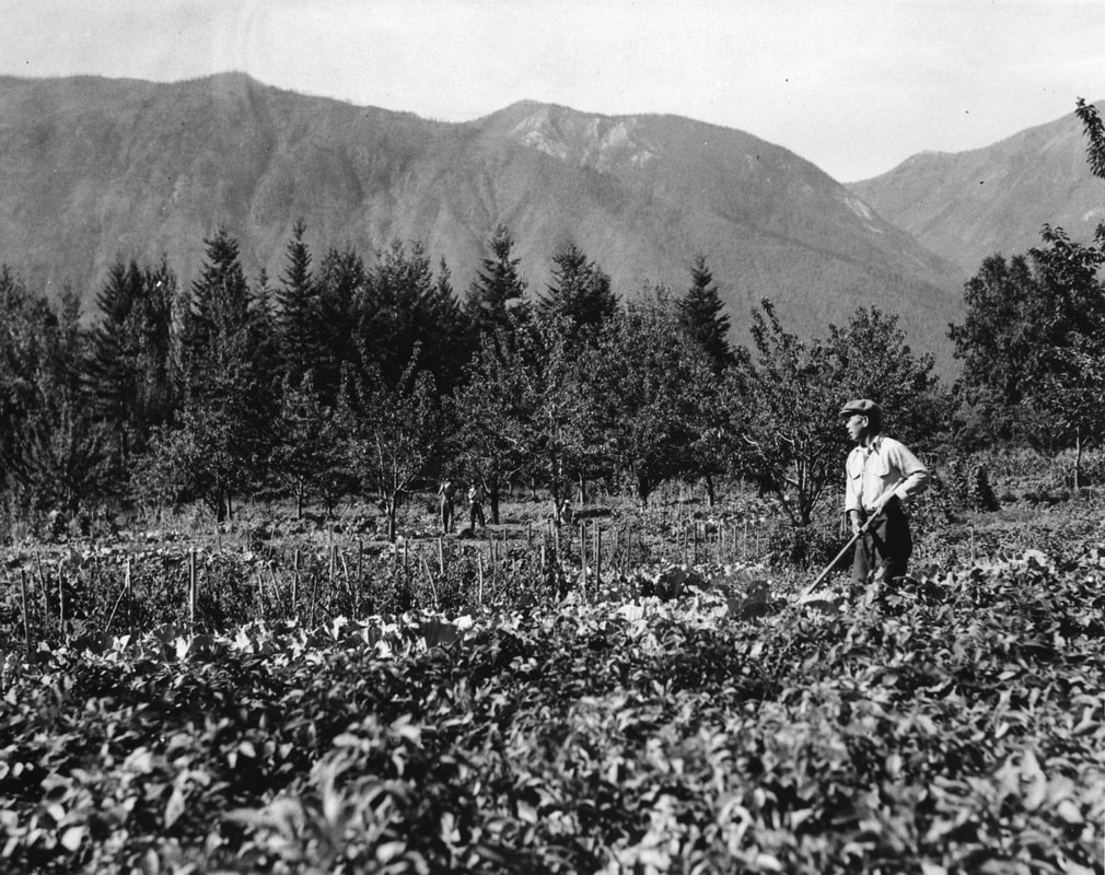 Man working the fields