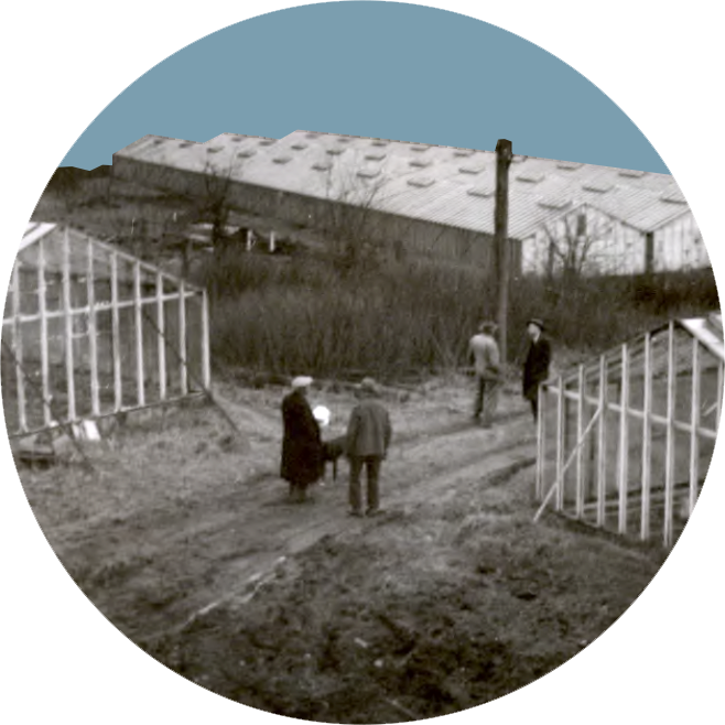 Appraisers inspect a Japanese Canadian farm