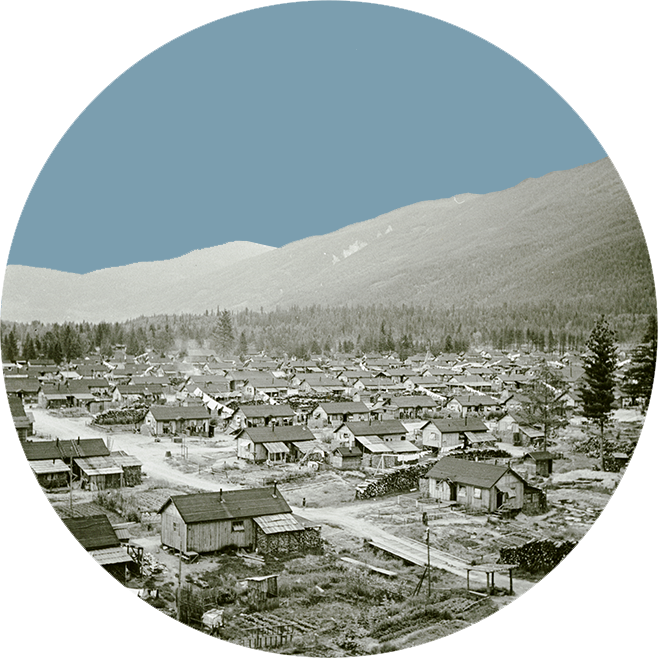 Landscape of Lemon Creek internment camp